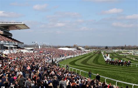 aintree race tips